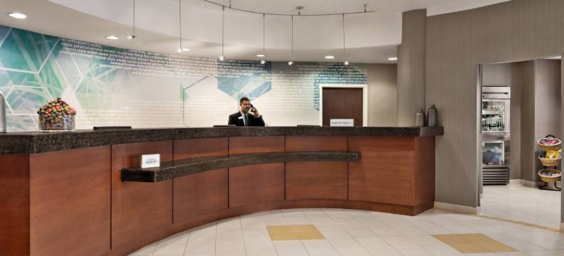 杜勒斯机场 SpringHill Suites 万豪酒店(SpringHill Suites Dulles Airport)图片