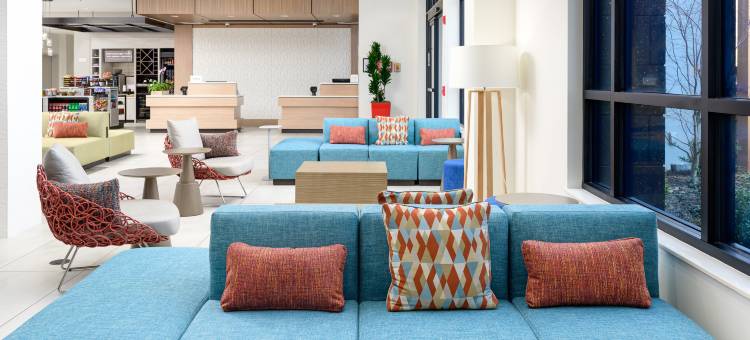 希尔顿花园酒店-诺克斯维尔纸厂路(Hilton Garden Inn Knoxville Papermill Drive)图片