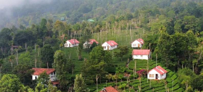 茶台韦提瑞度假村(Tea Terrace Vythiri Resort)图片