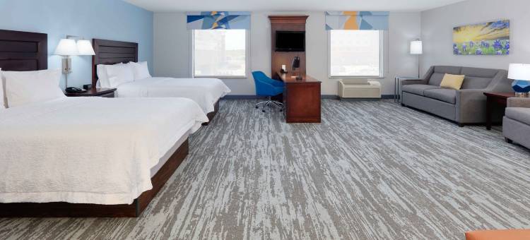达拉斯阿林顿南欢朋套房酒店(Hampton Inn & Suites Dallas-Arlington-South)图片