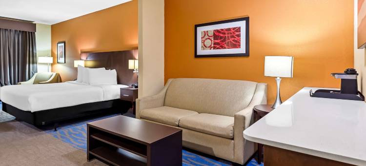 北圣路易机场贝斯特韦斯特普拉斯套房酒店(Best Western St. Louis Airport North Hotel  Suites)图片