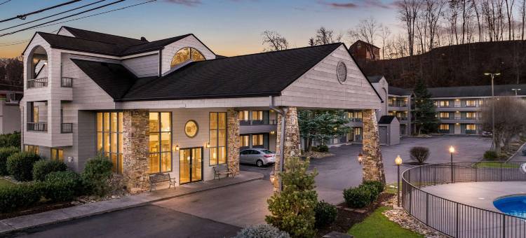 凯艺套房酒店-多雷伍道(Quality Inn & Suites at Dollywood Lane)图片