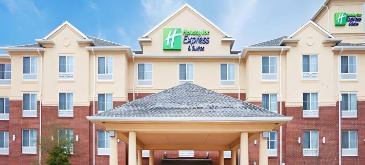 Holiday Inn Express & Suites Dallas - Grand Prairie I-20图片