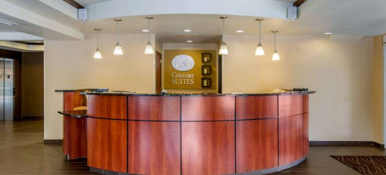 锡福德舒适全套房酒店(Comfort Suites)图片