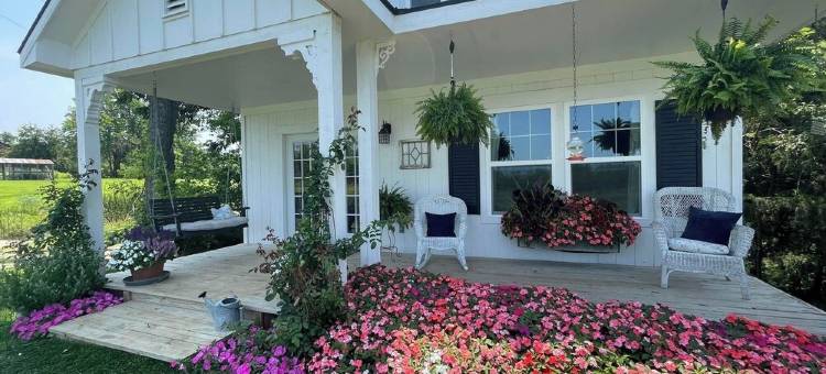 Looking for a perfect  escape from the city !图片