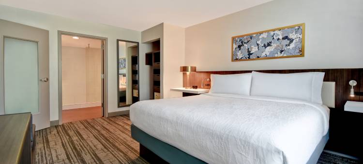 休斯顿加勒里亚区希尔顿花园酒店(Hilton Garden Inn Houston/Galleria Area)图片