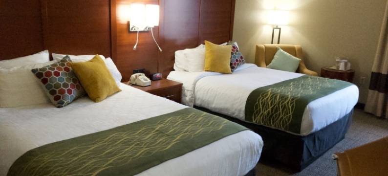 伊利 - 普雷斯克岛附近舒适酒店(Comfort Inn, Erie - Near Presque Isle)图片