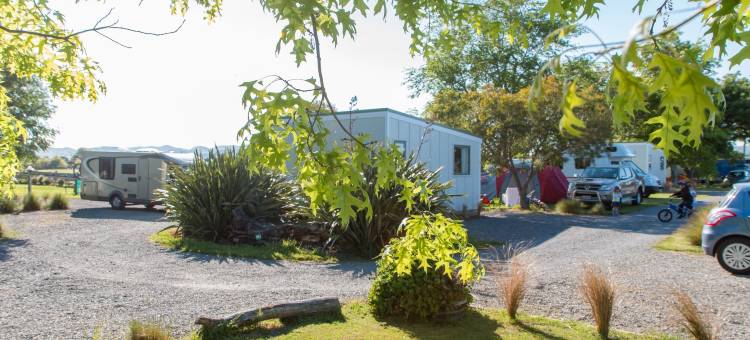 马丁博若前10度假公园酒店(Martinborough Top 10 Holiday Park)图片