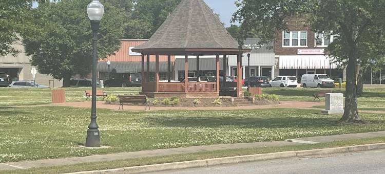 梅多斯酒店(Meadows Hotel)图片