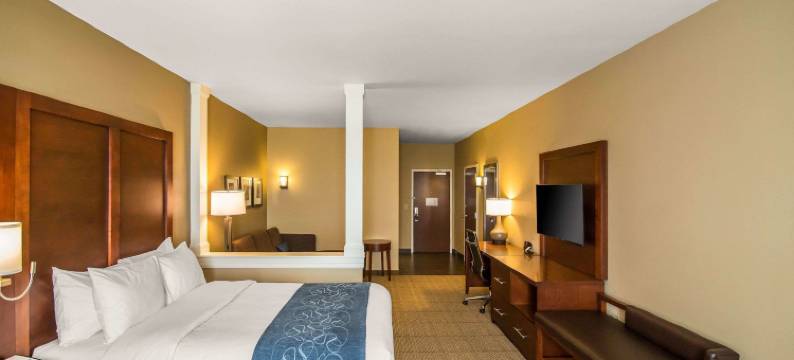 舒适套房酒店(Comfort Suites - Dodge City)图片