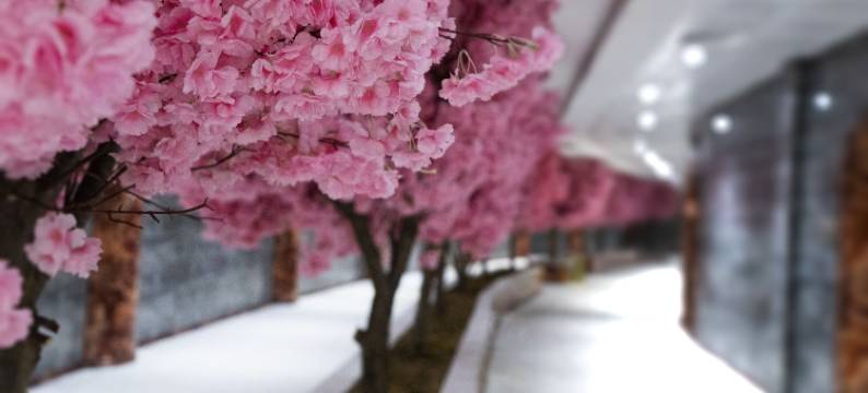 萨罗特温泉宫度假村 - 酒店(Sarot Thermal Palace Tatil Koyu - Halal Hotel)图片