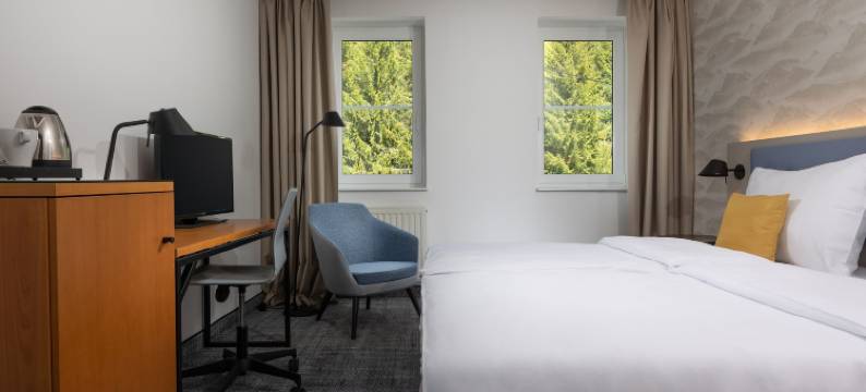 舒马瓦斯皮卡奥雷阿酒店(Orea Hotel Špičák Šumava)图片