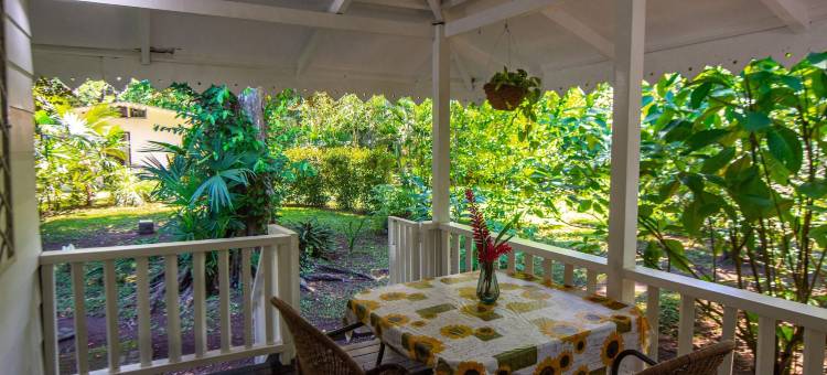 大滩旅馆(Playa Grande Lodge & Tree House)图片