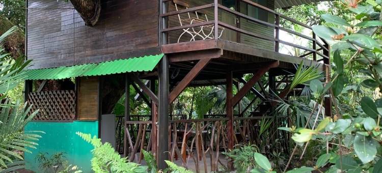 大滩旅馆(Playa Grande Lodge & Tree House)图片