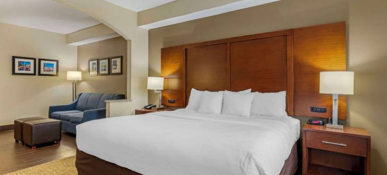 塞金的舒适套房酒店(Comfort Inn & Suites)图片