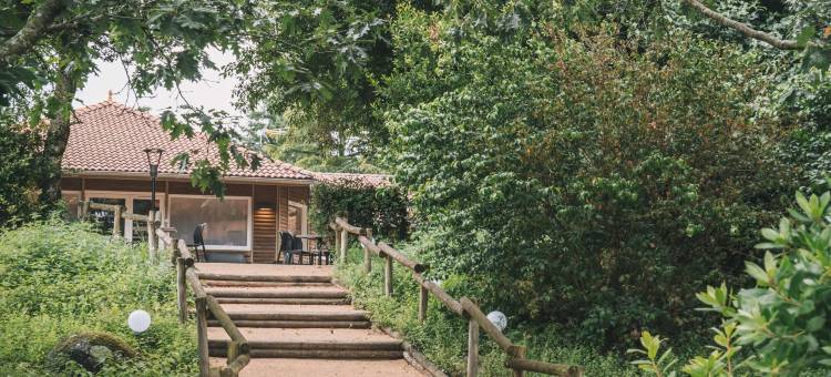 圣皮埃尔酒店(Logis hôtels le Saint Pierre)图片