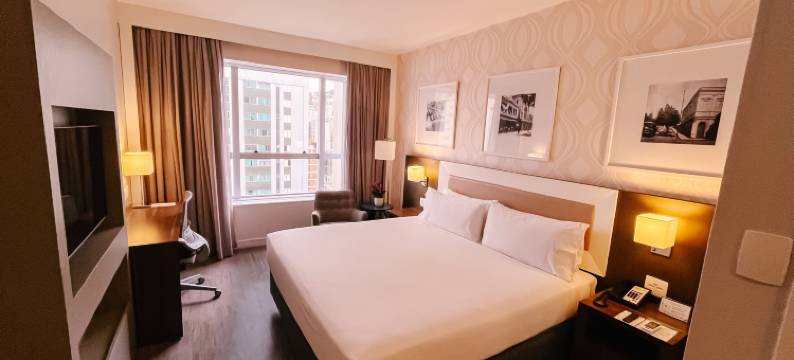 Holiday Inn 贝洛奥里藏特(Holiday Inn BELO HORIZONTE SAVASSI by IHG)图片