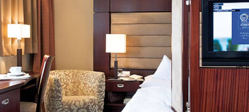 雄狮AKZENT酒店(Akzent Hotel Löwen)图片