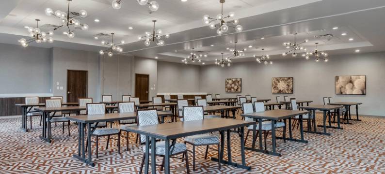 达拉斯理查森坎布里亚酒店(Cambria Hotel Richardson - Dallas)图片