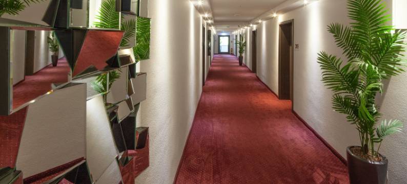 梅宁阁伯格斯机场酒店(Bergers Airporthotel Memmingen)图片