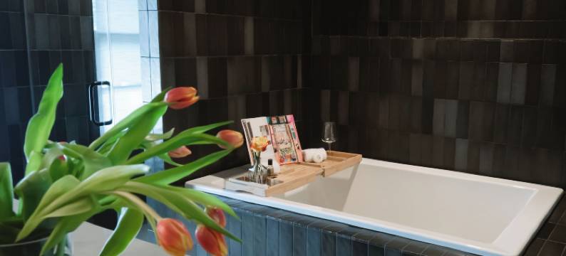 黄金鸽子酒店(La Colombe d'Or Hotel)图片