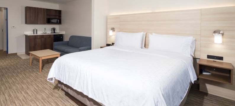 智选假日套房酒店-拉波特(Holiday Inn Express & Suites LA PORTE by IHG)图片