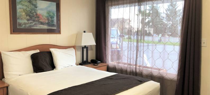 蓝色海岸套房酒店(Blue Coast Inn & Suites)图片