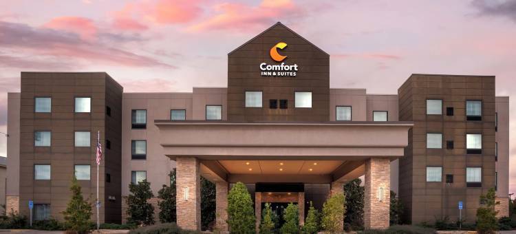 舒适套房酒店(Comfort Inn & Suites)图片