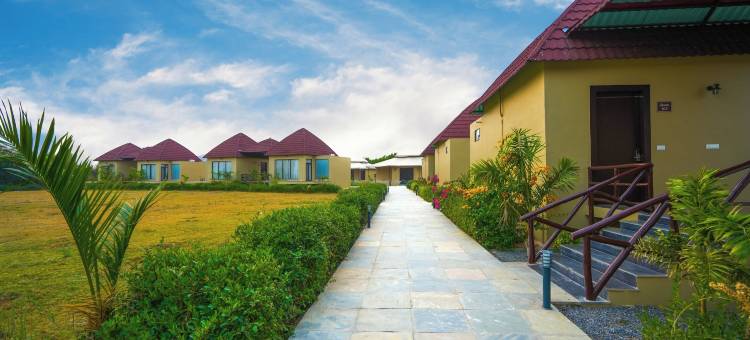 Jawai Zinc Journey by The Fern图片