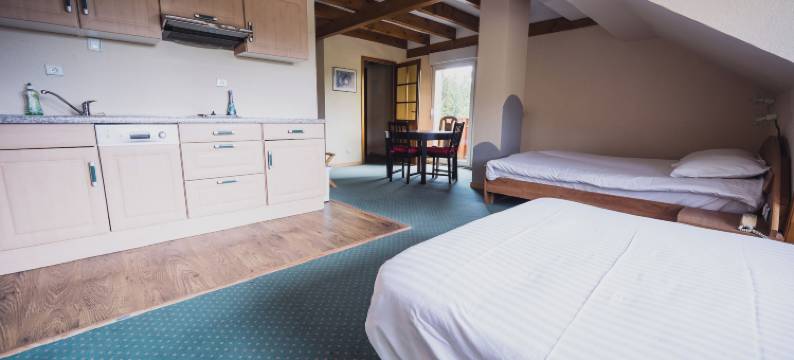 多农山酒店(Hotel du Donon)图片