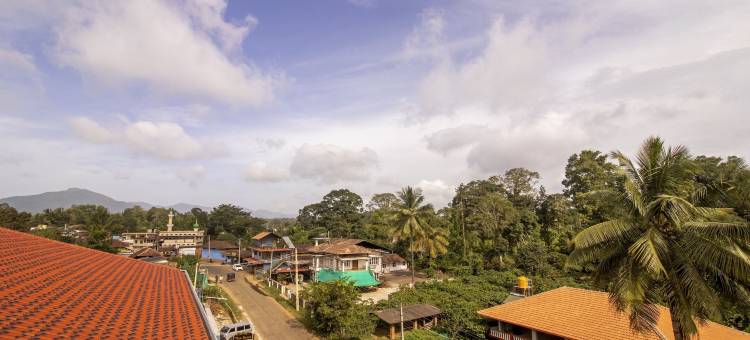 Treebo 罗夫(Treebo the Rove, Coorg)图片