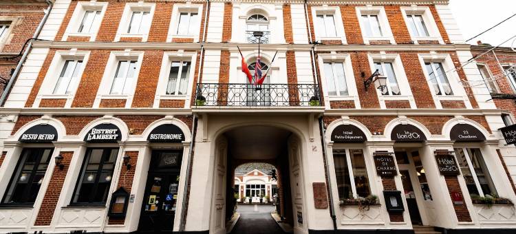 金狮酒店和Spa(Hôtel le Lion d'or)图片