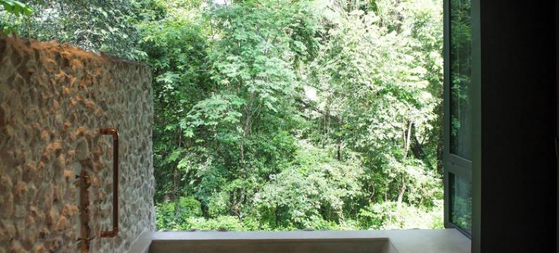 特玛尔河里奥佩迪多酒店(Rio Perdido Hotel & Thermal River)图片