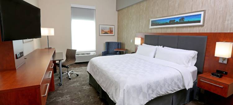 假日酒店及套房苏福尔斯-机场，洲际酒店集团酒店(Holiday Inn & Suites Sioux Falls - Airport)图片