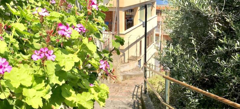 Ma&Mi宾馆(Ma&Mi Guest House)图片