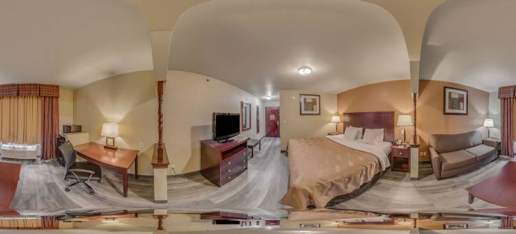 特雷尔品质套房酒店(Quality Inn and Suites Terrell)图片