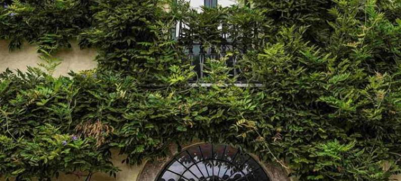 莫迪农庄酒店(Barone GR Macrì Agriturismo Modi)图片