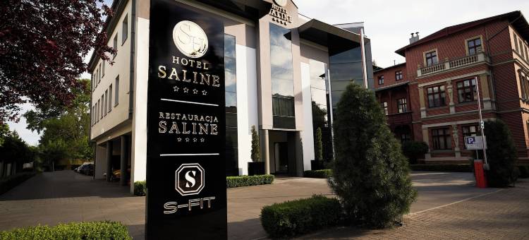 Saline酒店(Hotel Saline)图片