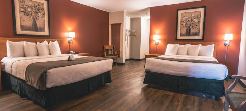 凯艺套房酒店(Quality Inn & Suites)图片