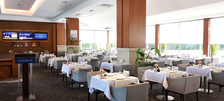 代尼兹利阿奈蒙酒店(Anemon Grand Denizli Otel)图片