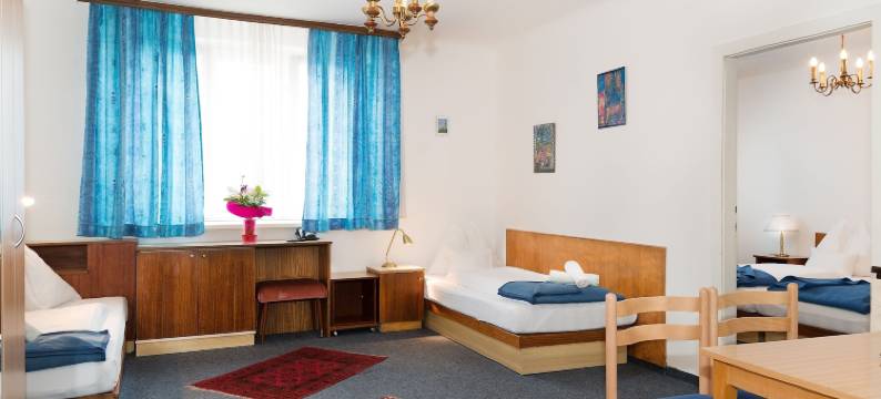 格西勒博士高级旅馆(Pension Dr. Geissler)图片