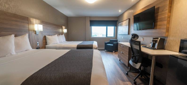 乐多芬魁北克套房和酒店(Hôtel & Suites le Dauphin Québec)图片