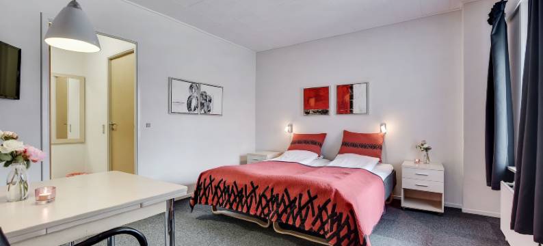 瓦尔德酒店(Hotel Varde)图片