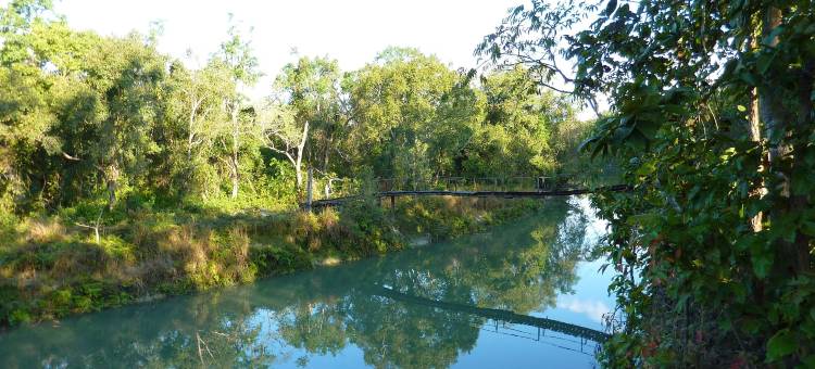 莱诺巴尔迪亚旅馆(Rhino Lodge Bardia Pvt Ltd)图片