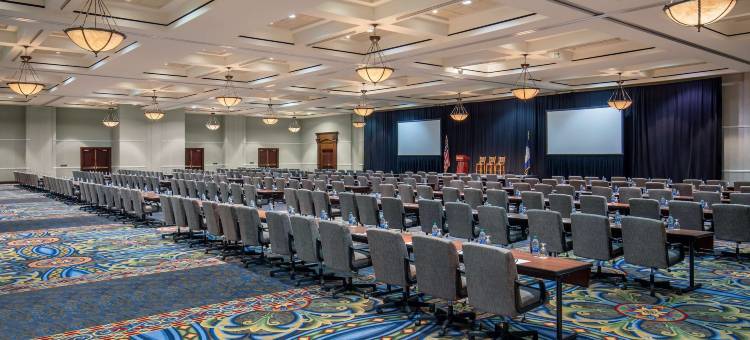 罗阿诺克酒店和会议中心-希尔顿格芮精选酒店(The Hotel Roanoke & Conference Center, Curio Collection by Hilton)图片