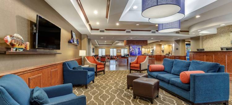 舒适套房酒店(靠近德克萨斯A&M科尔普斯克里斯蒂)(Comfort Suites Near Texas A&M - Corpus Christi)图片