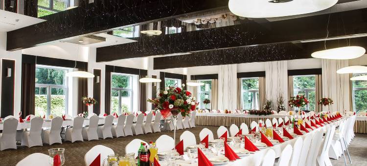 迪亚蒙扎布热酒店 - 格利维采(Hotel Diament Zabrze - Gliwice)图片