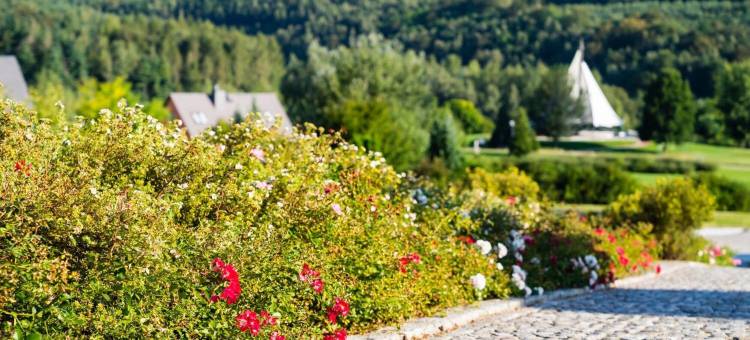 八德施乐马库尔酒店(Kurhotel Bad Schlema)图片