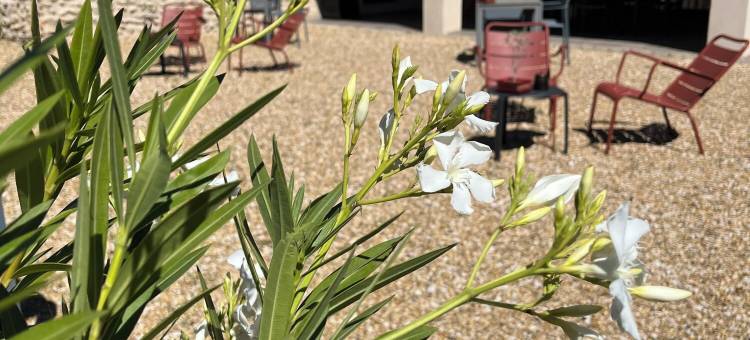 马赛雪松庄园酒店 - Teritoria(Le Mas Aux Cedres - Teritoria)图片