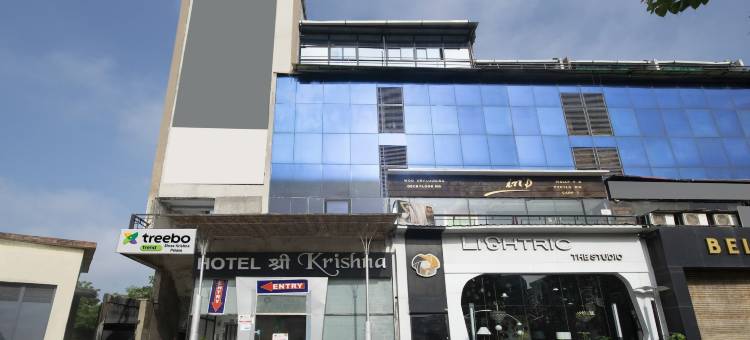 Itsy Hotels Shree Krishna 宫殿(Itsy Hotels Shree Krishna Palace)图片